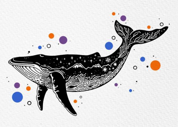 Whale - Giclée Print