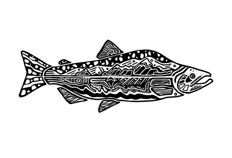Salmón