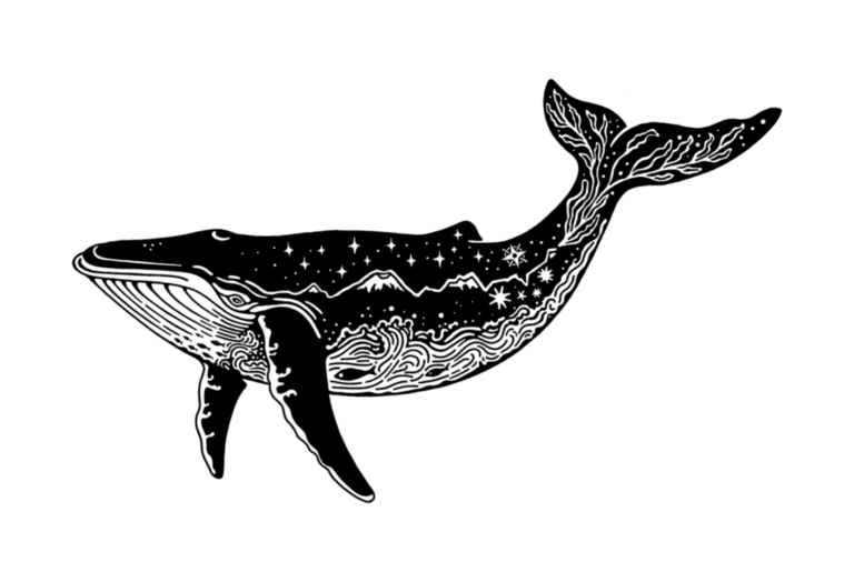 Ballena