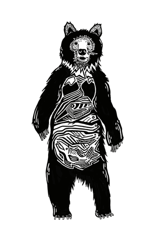 Oso