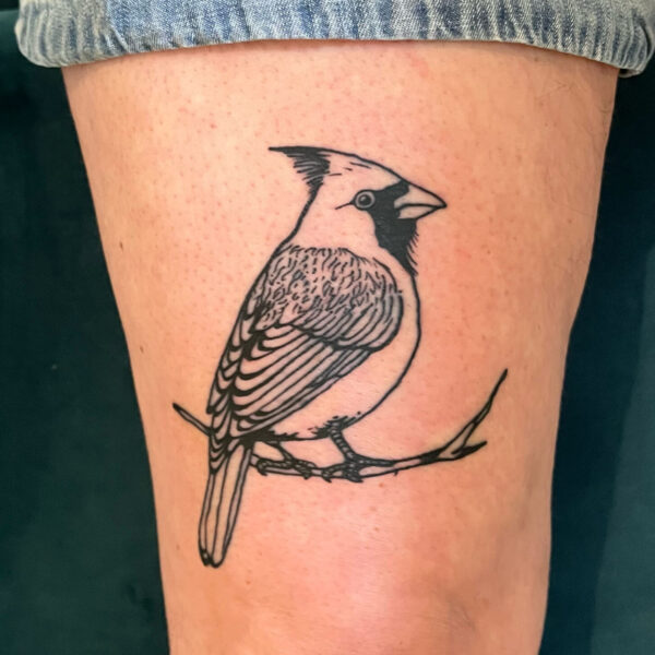 bird